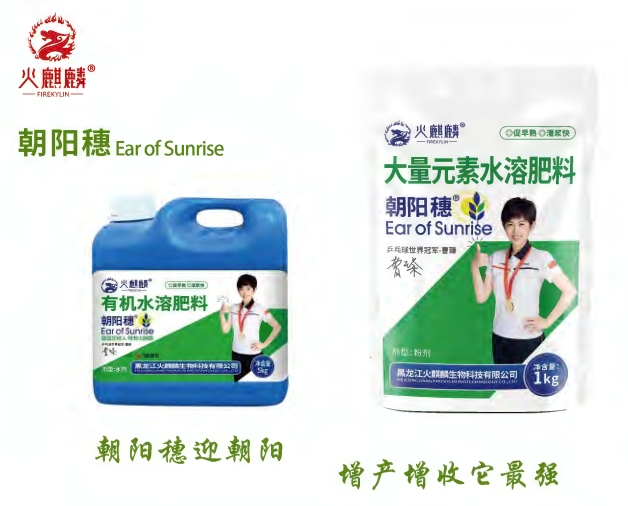 机场灯箱--UV双喷天花软膜展示